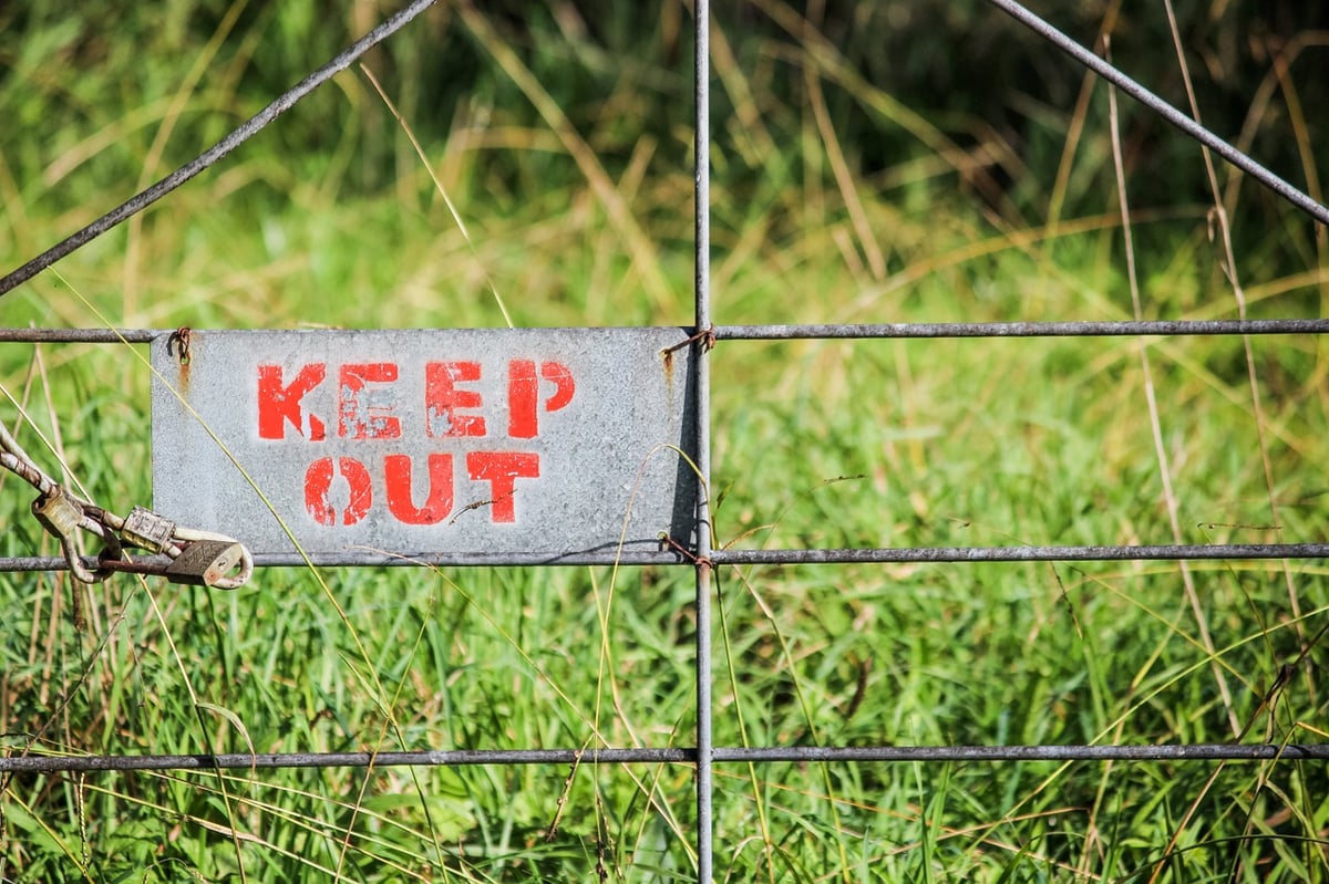 blog header image